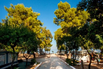 Bekas Camping - Ancient Epidavros